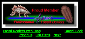 Fossil Dealers web ring